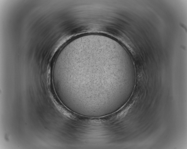 X0000097501126200802291552