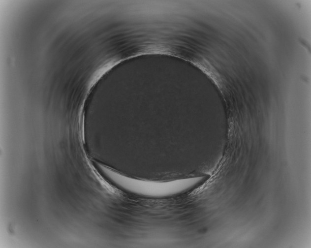 X0000097501127200802291552