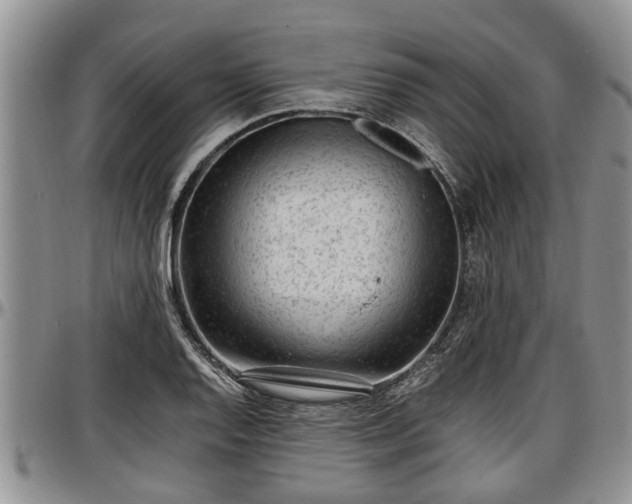 X0000097501128200802291552