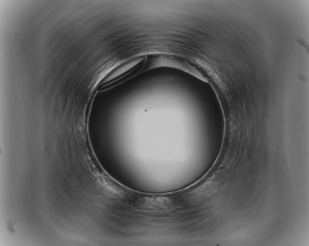 X0000097501129200802291552