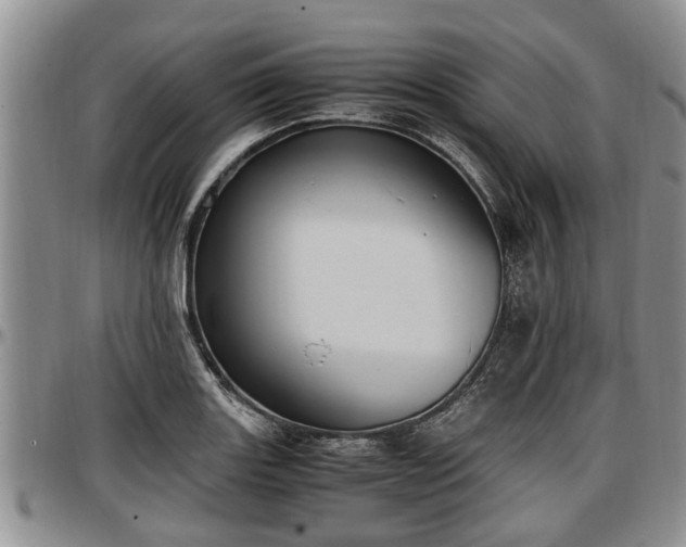 X0000097501131200802291552