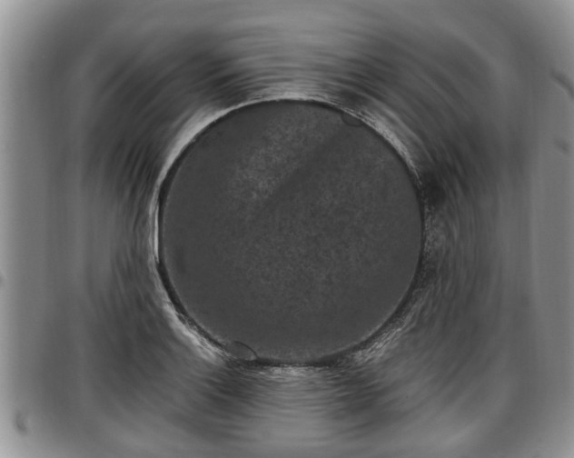 X0000097501132200802291552