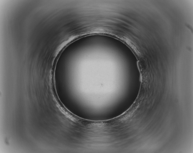 X0000097501134200802291552