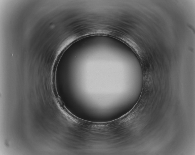 X0000097501135200802291552
