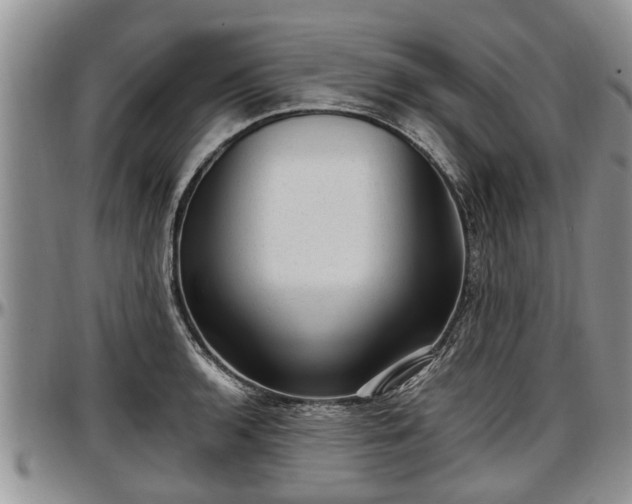 X0000097501136200802291552