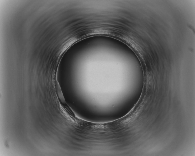 X0000097501137200802291552