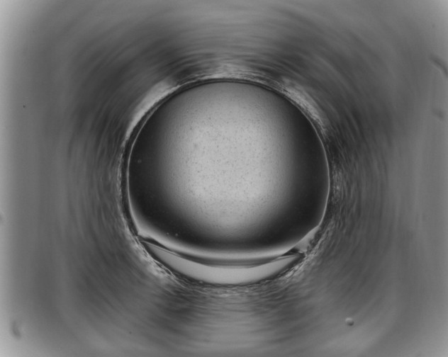 X0000097501138200802291552