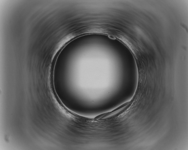 X0000097501139200802291552