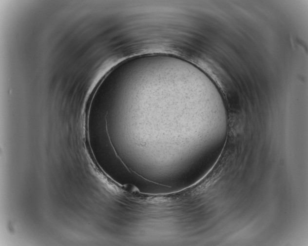 X0000097501140200802291552