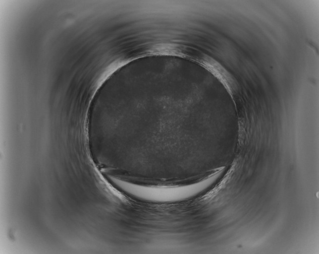 X0000097501141200802291552