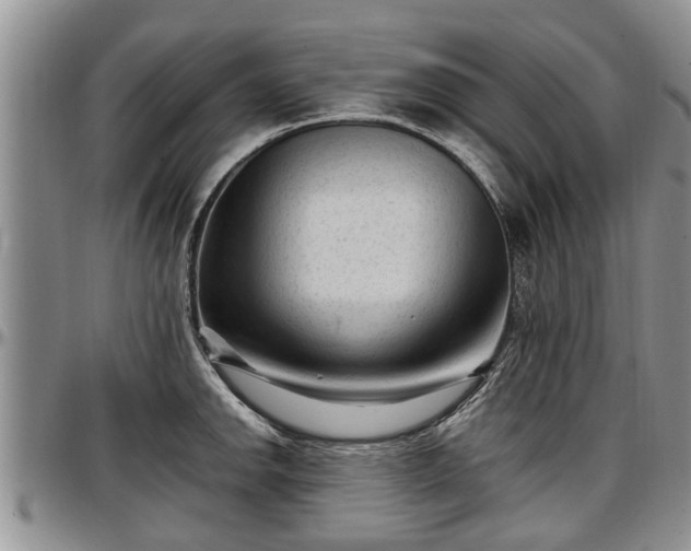 X0000097501142200802291552