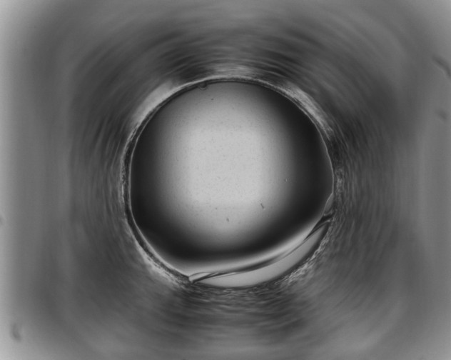 X0000097501143200802291552