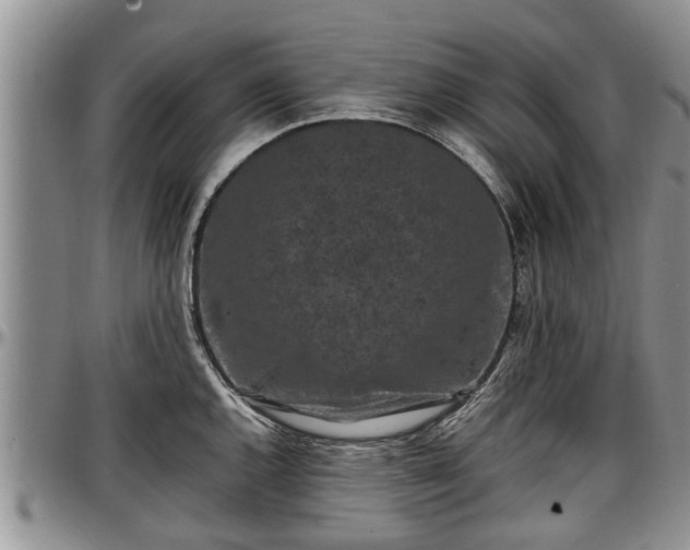 X0000097501144200802291552