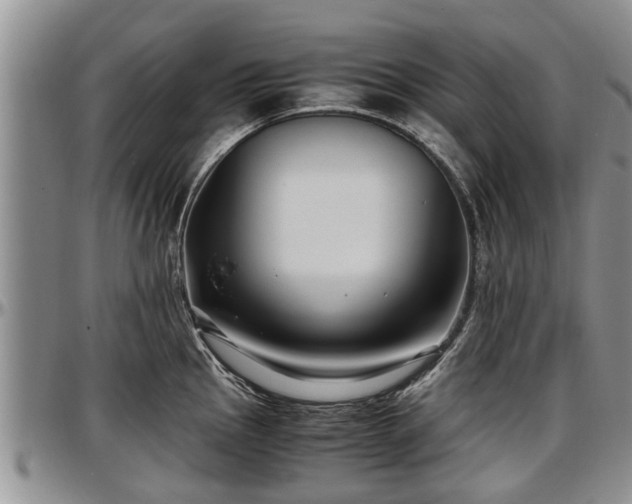 X0000097501145200802291552