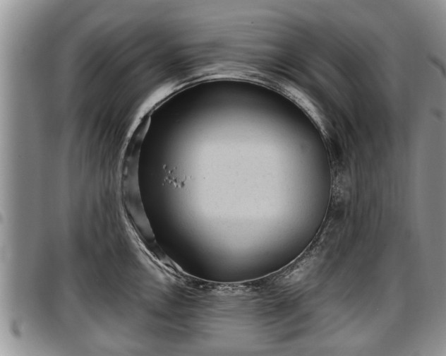 X0000097501146200802291552