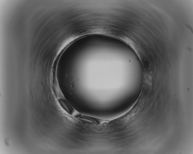 X0000097501147200802291552