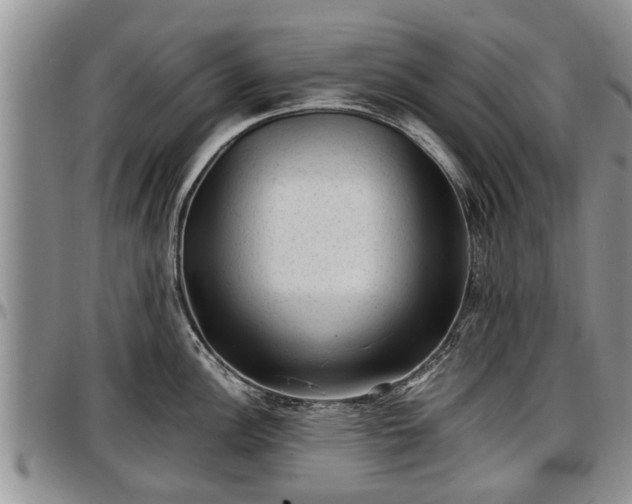 X0000097501148200802291552