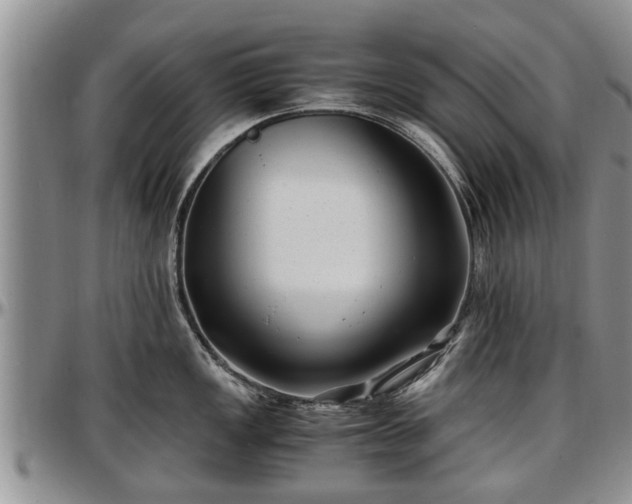 X0000097501149200802291552