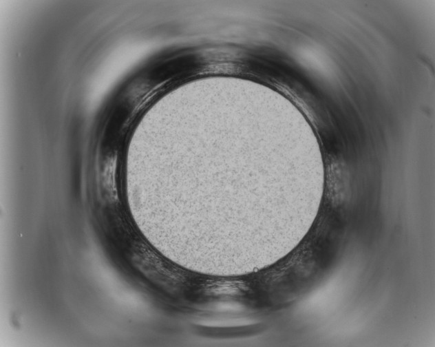 X0000097501150200802291552