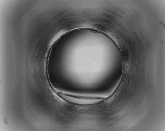 X0000097501151200802291552