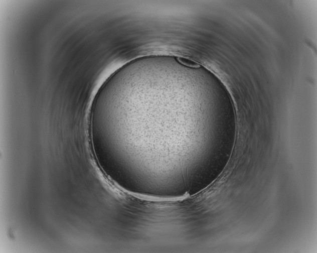 X0000097501152200802291553
