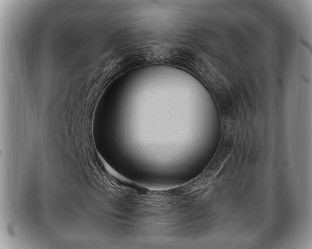 X0000097501153200802291552