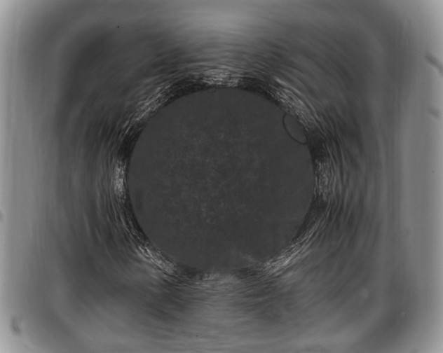 X0000097501154200802291552