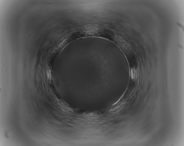 X0000097501155200802291552