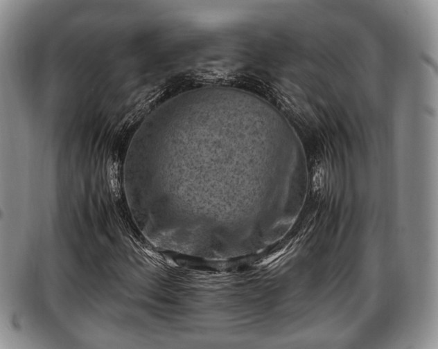 X0000097501156200802291552