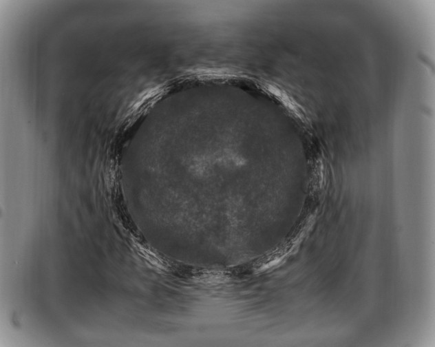 X0000097501157200802291552