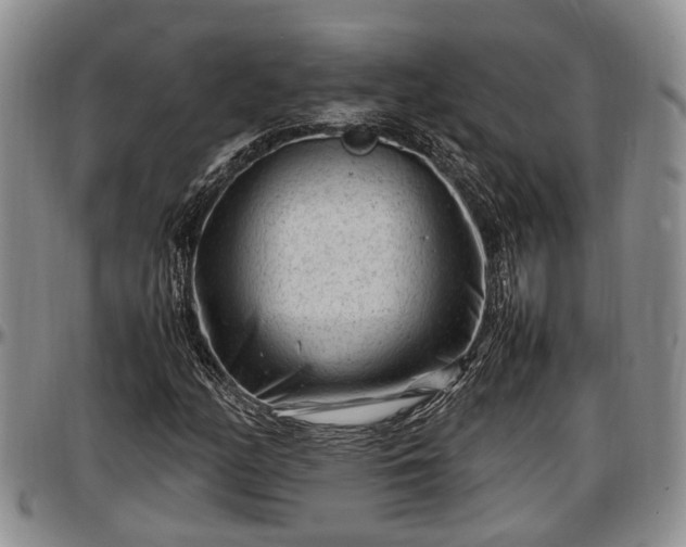 X0000097501158200802291552