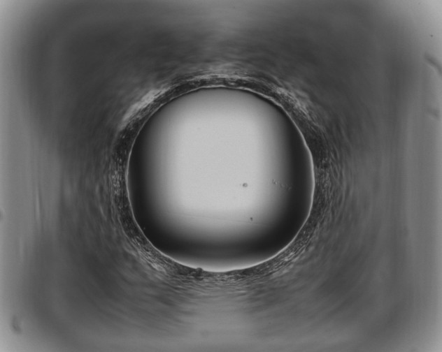 X0000097501159200802291552