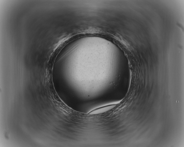 X0000097501160200802291552