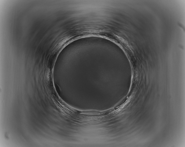X0000097501161200802291552