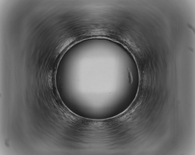 X0000097501162200802291552