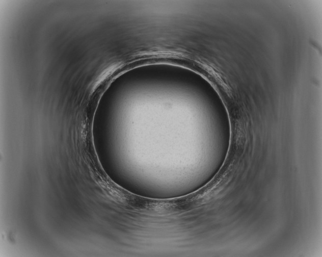 X0000097501163200802291552