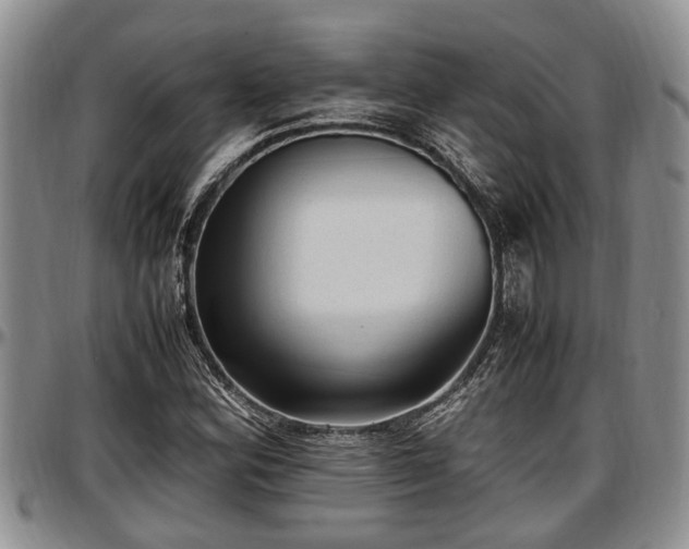 X0000097501164200802291552