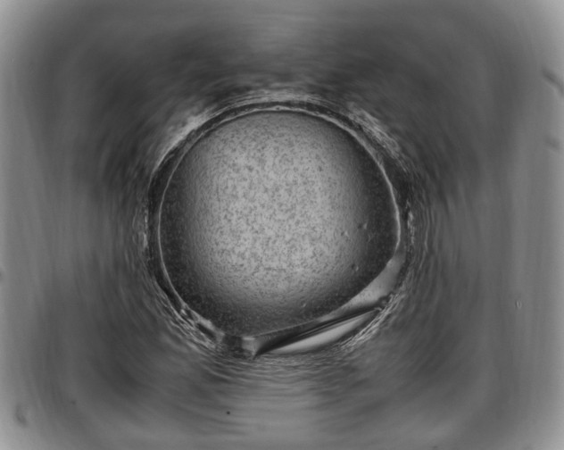 X0000097501165200802291552