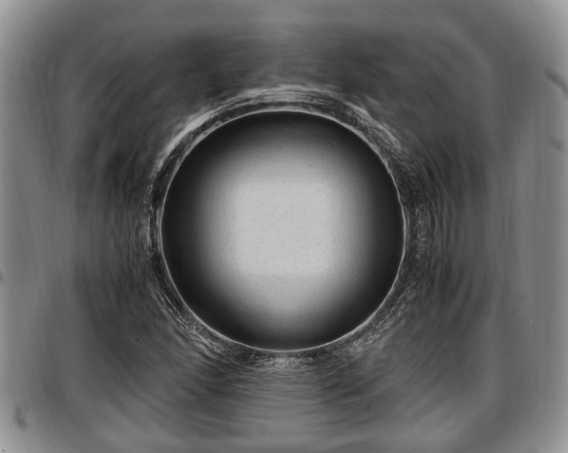 X0000097501166200802291552