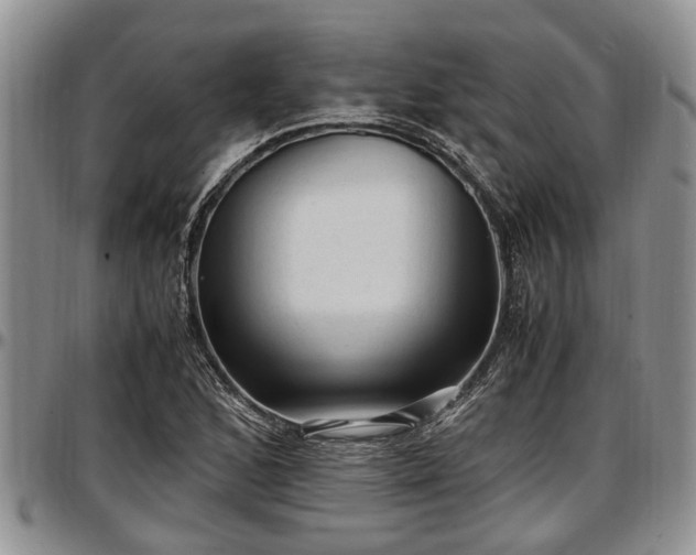 X0000097501168200802291552