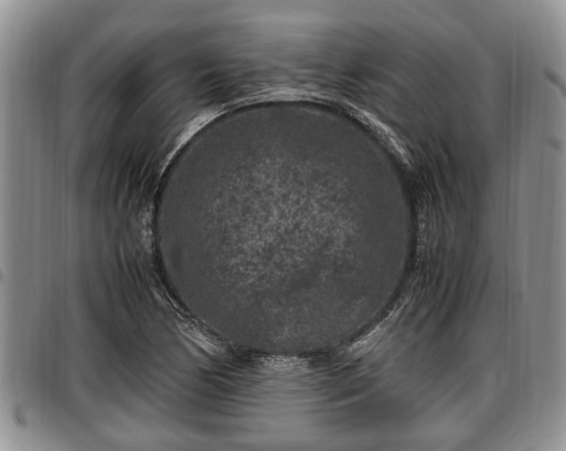 X0000097501170200802291552