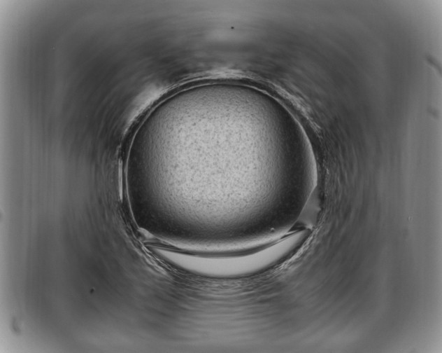 X0000097501171200802291552
