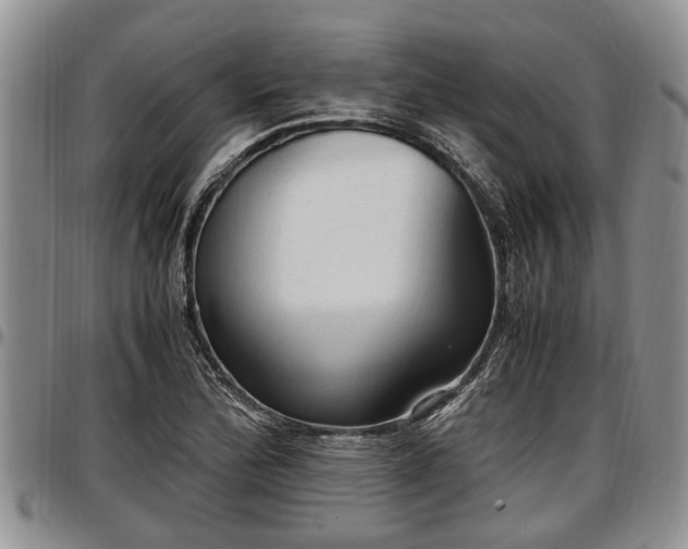 X0000097501172200802291552
