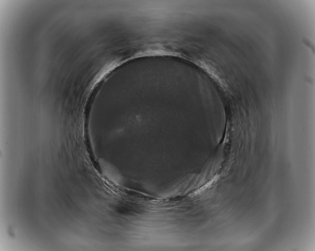 X0000097501173200802291552