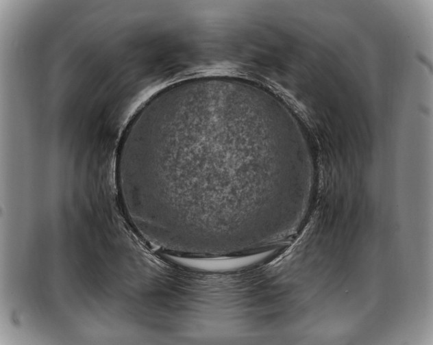X0000097501174200802291552