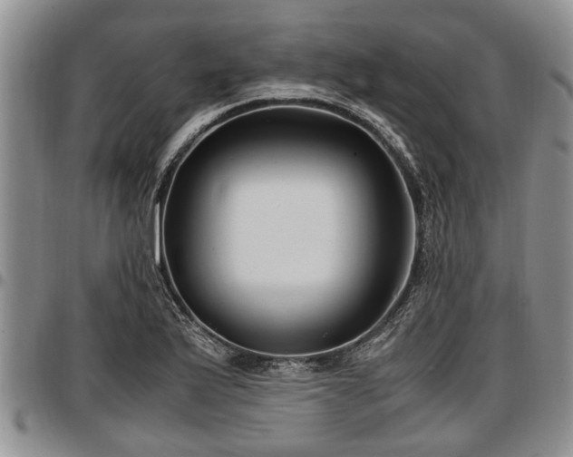 X0000097501175200802291552