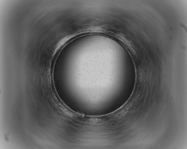 X0000097501176200802291552