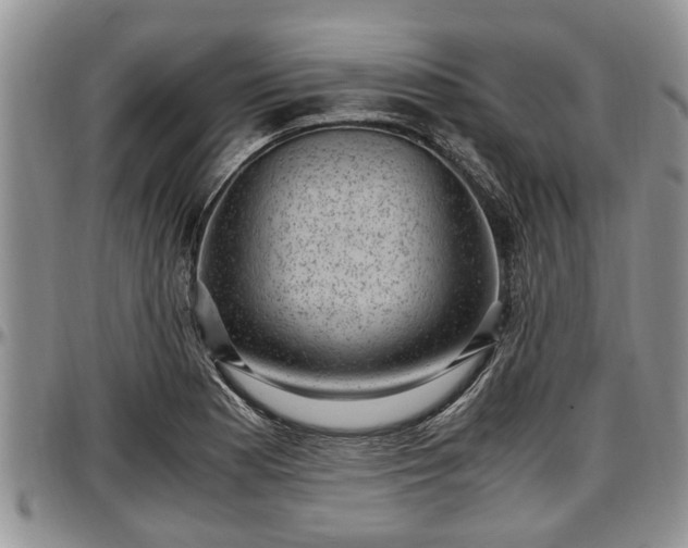 X0000097501177200802291552