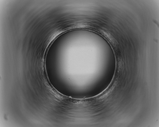 X0000097501178200802291552