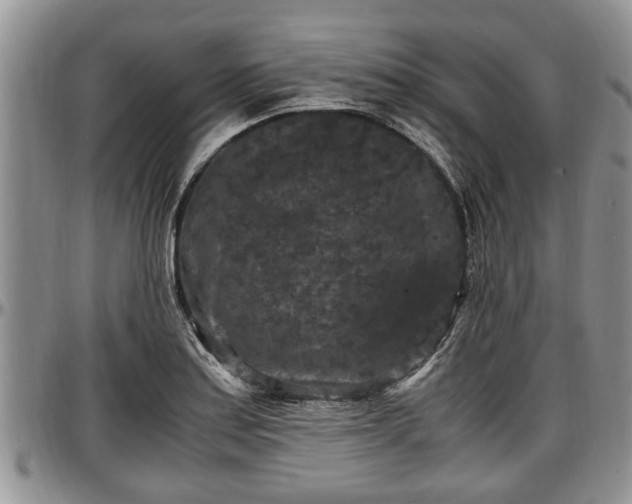 X0000097501179200802291552